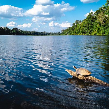 Tres Chimbadas Lake Lodge Tambopata Exteriör bild