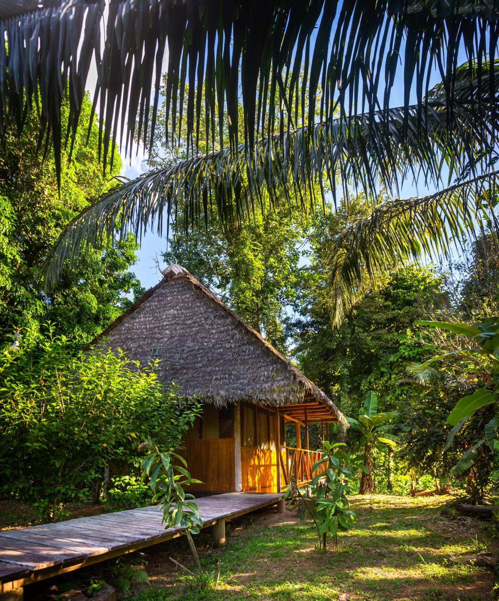 Tres Chimbadas Lake Lodge Tambopata Exteriör bild