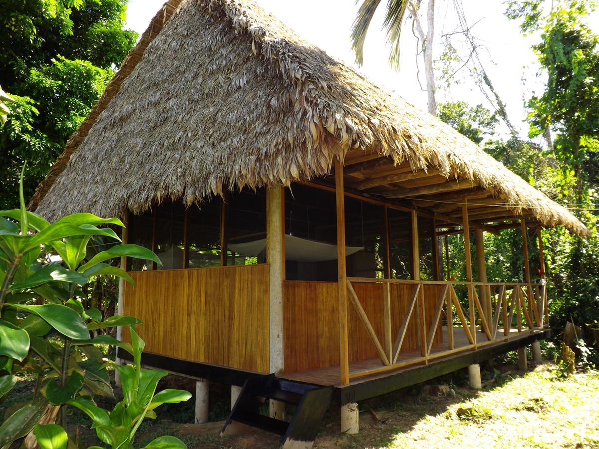 Tres Chimbadas Lake Lodge Tambopata Exteriör bild
